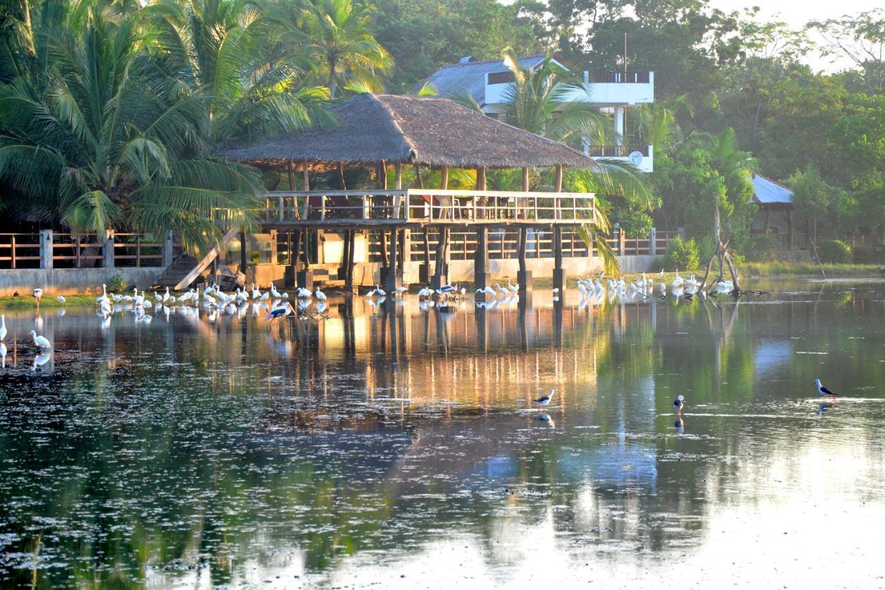 Rock Pool Residence Tangalle Dış mekan fotoğraf